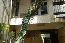 Rumah Mewah LB 760m2 Siap Huni Desain Elegan di Sayap Dago, Bandung Rumah Mewah LB 760m2 Siap Huni Desain Elegan di Sayap Dago, Bandung