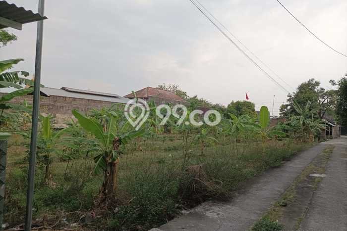 Tanah Dijual Lokasi Simo, Boyolali Luas 1500m2 Legalitas Aman Tanah Dijual Lokasi Simo, Boyolali Luas 1500m2 Legalitas Aman