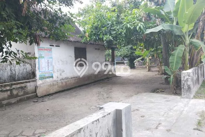 Lahan Investasi Lokasi Wonosari Klaten SHM Lahan Investasi Lokasi Wonosari Klaten SHM