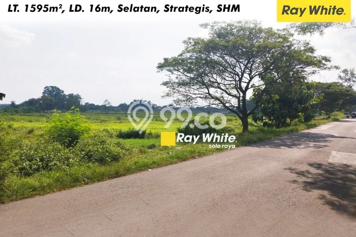 Jarang Ada! Tanah di Wonosari Punya Luas 1595m2 SHM Jarang Ada! Tanah di Wonosari Punya Luas 1595m2 SHM