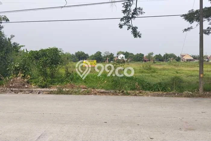 Tanah untuk Dijual di Wonosari Klaten Luas 1952m2 Tanah untuk Dijual di Wonosari Klaten Luas 1952m2