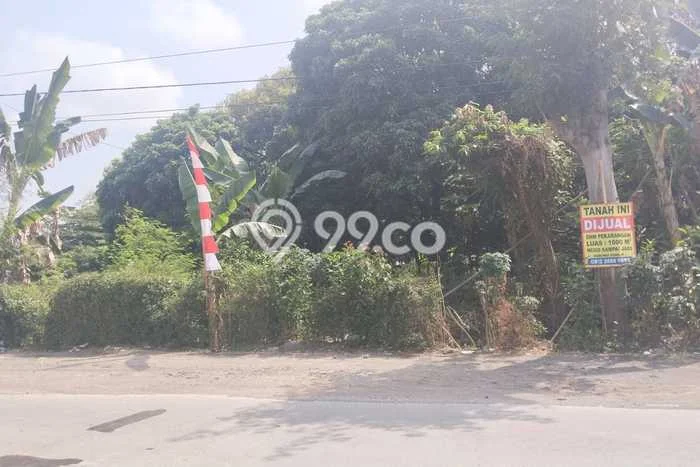 Tanah Dijual Lokasi Wonosari, Klaten Luas 1000m2 Legalitas Aman Tanah Dijual Lokasi Wonosari, Klaten Luas 1000m2 Legalitas Aman