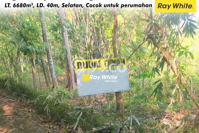 Lahan Investasi Lokasi Ngadirojo Wonogiri SHM Lahan Investasi Lokasi Ngadirojo Wonogiri SHM