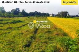 Tanah Strategis Dijual di Gatak Sukoharjo 600m2 Tanah Strategis Dijual di Gatak Sukoharjo 600m2