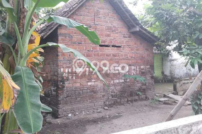 Lahan Investasi Lokasi Wonosari Klaten SHM Lahan Investasi Lokasi Wonosari Klaten SHM
