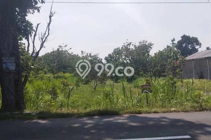 Tanah di Musuk, Boyolali Luas 1008m2 Dijual Segera Tanah di Musuk, Boyolali Luas 1008m2 Dijual Segera