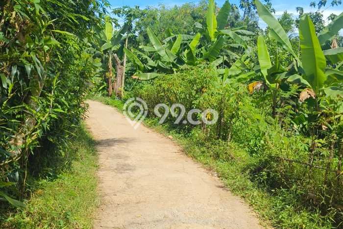 Tanah Dijual Lokasi Jambe Tangerang AJB Tanah Dijual Lokasi Jambe Tangerang AJB