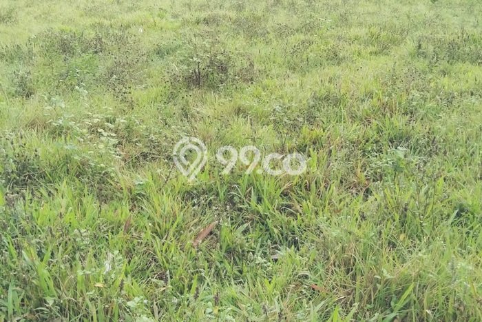 Dijual Tanah di Panongan Tangerang Luas 4500m2 AJB Dijual Tanah di Panongan Tangerang Luas 4500m2 AJB