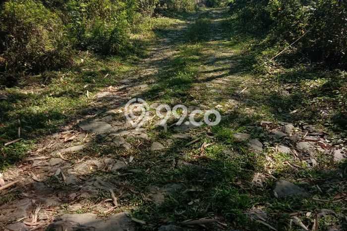 Tanah Dijual Lokasi Curug, Tangerang Luas 12000m2 Legalitas Aman Tanah Dijual Lokasi Curug, Tangerang Luas 12000m2 Legalitas Aman