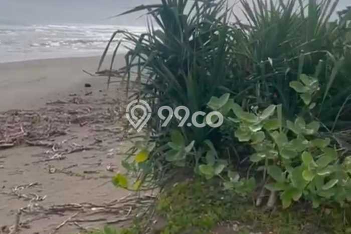 Untuk Dijual Tanah di Panggarangan Lebak Luas 19290m2 SHM Untuk Dijual Tanah di Panggarangan Lebak Luas 19290m2 SHM