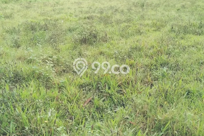 Dijual Tanah di Panongan Tangerang Luas 4500m2 AJB Dijual Tanah di Panongan Tangerang Luas 4500m2 AJB