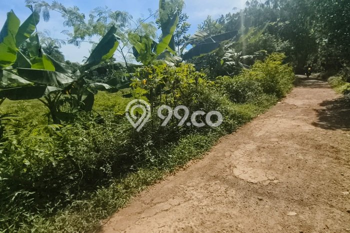 Tanah Dijual Lokasi Jambe Tangerang AJB Tanah Dijual Lokasi Jambe Tangerang AJB