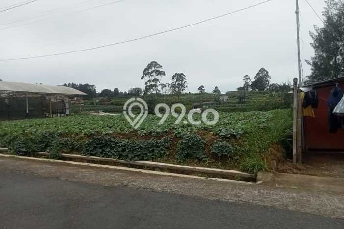 Tanah Strategis Dijual di Ngablak Magelang 1200m2 Tanah Strategis Dijual di Ngablak Magelang 1200m2