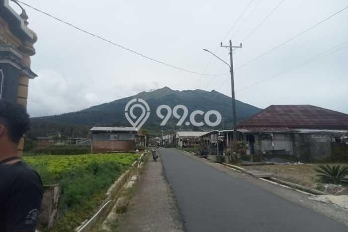 Tanah Strategis Dijual di Ngablak Magelang 1200m2 Tanah Strategis Dijual di Ngablak Magelang 1200m2