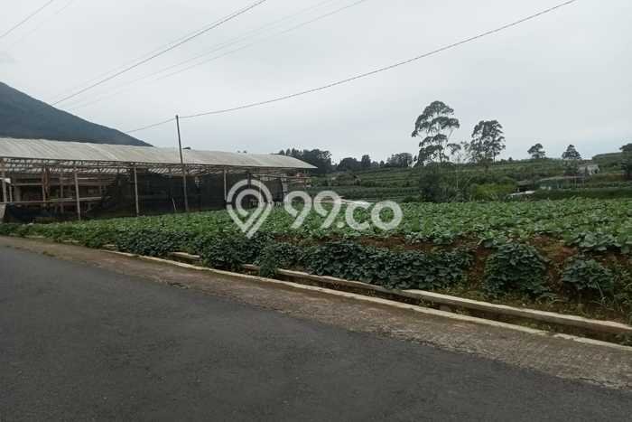 Tanah Strategis Dijual di Ngablak Magelang 1200m2 Tanah Strategis Dijual di Ngablak Magelang 1200m2