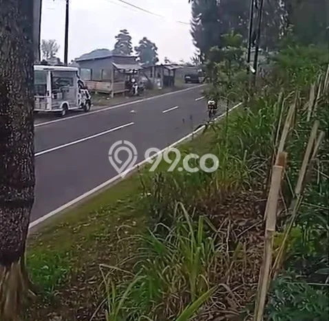 Lahan untuk Dijual Lokasi Ngablak, Magelang Luas 5000m2 SHM Lahan untuk Dijual Lokasi Ngablak, Magelang Luas 5000m2 SHM