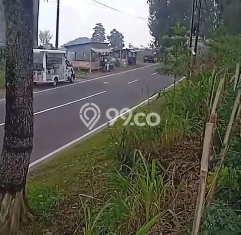 Lahan untuk Dijual Lokasi Ngablak, Magelang Luas 5000m2 SHM Lahan untuk Dijual Lokasi Ngablak, Magelang Luas 5000m2 SHM