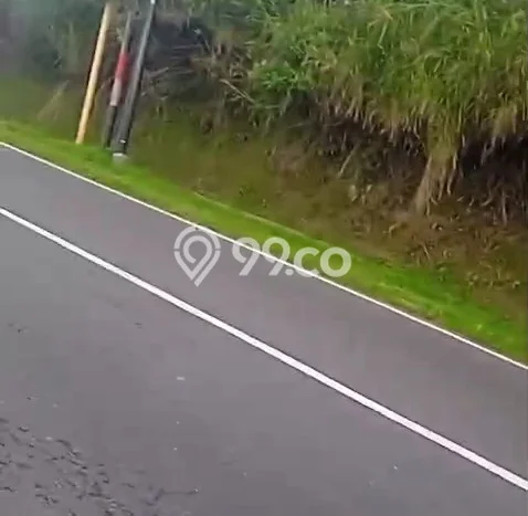 Tanah Dijual Lokasi Ngablak, Magelang dengan Luas Tanah 6000m2 dan Status SHM Tanah Dijual Lokasi Ngablak, Magelang dengan Luas Tanah 6000m2 dan Status SHM