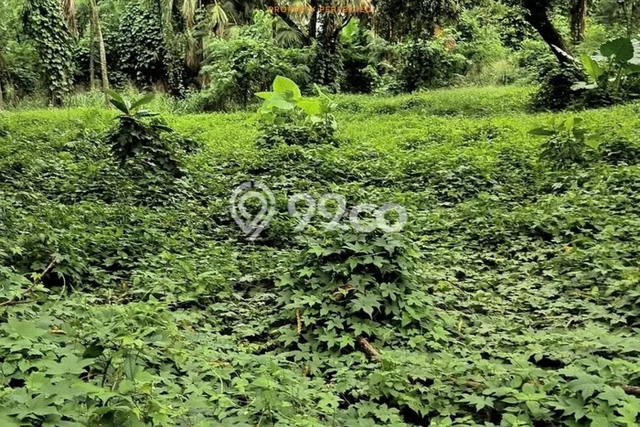 Untuk Dijual Tanah 3200m2 di Pondok Indah, Jakarta Selatan Untuk Dijual Tanah 3200m2 di Pondok Indah, Jakarta Selatan
