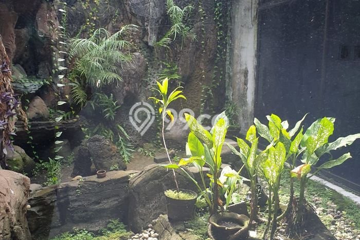 Rumah Elit LB 175m2 Siap Huni Desain Elegan di Pulomas, Jakarta Timur Rumah Elit LB 175m2 Siap Huni Desain Elegan di Pulomas, Jakarta Timur