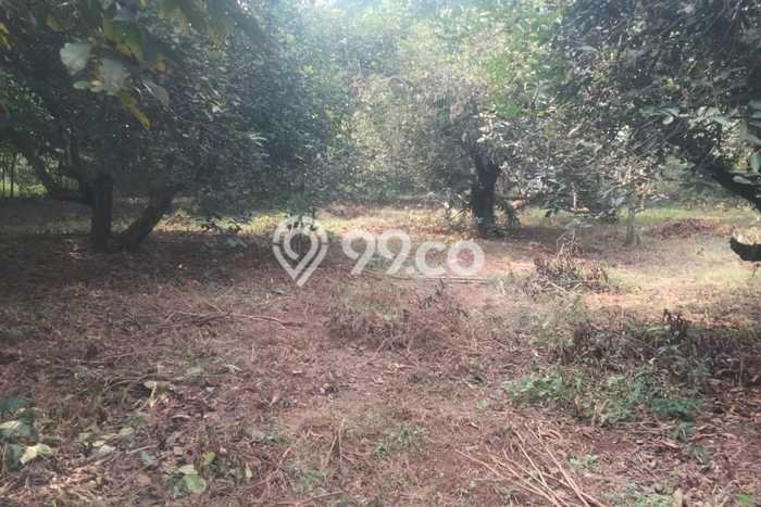 Lahan Investasi Lokasi Setu Bekasi SHM Lahan Investasi Lokasi Setu Bekasi SHM