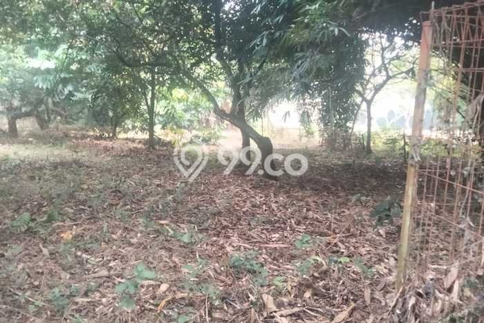 Lahan Investasi Lokasi Setu Bekasi SHM Lahan Investasi Lokasi Setu Bekasi SHM