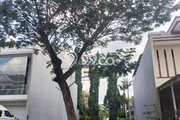 Tanah Kavling Dijual di Pakuwon Indah, Surabaya dengan Luas Tanah 297m2 Tanah Kavling Dijual di Pakuwon Indah, Surabaya dengan Luas Tanah 297m2