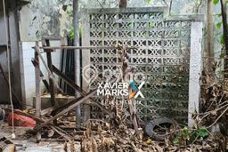 Dijual Rumah Minimalis Bagus Punya 4 KT di Tambaksari Surabaya SHM Dijual Rumah Minimalis Bagus Punya 4 KT di Tambaksari Surabaya SHM