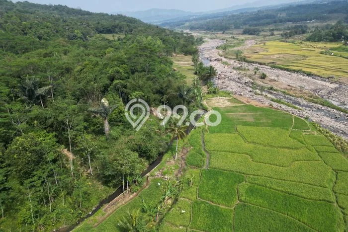 Tanah untuk Dijual di Sukamakmur Bogor Luas 100m2 Tanah untuk Dijual di Sukamakmur Bogor Luas 100m2