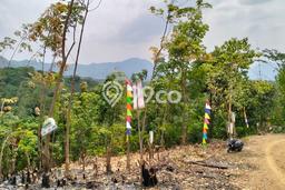 Lahan untuk Dijual di Tanjungsari Bogor Luas 1000m2 Lahan untuk Dijual di Tanjungsari Bogor Luas 1000m2