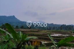 Tanah untuk Dijual di Tanjungsari Bogor Luas 15000m2 Tanah untuk Dijual di Tanjungsari Bogor Luas 15000m2