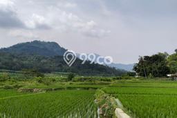 Kavling Tanah di Tanjungsari Dijual Luas 1000m2 Legalitas SHM Kavling Tanah di Tanjungsari Dijual Luas 1000m2 Legalitas SHM