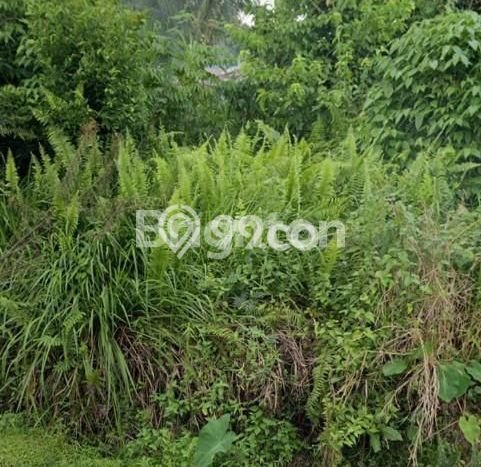 Tanah di Sambutan, Samarinda Luas 300m2 Dijual Segera Tanah di Sambutan, Samarinda Luas 300m2 Dijual Segera