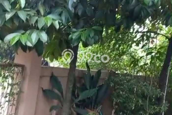 Dijual Rumah Eksklusif 3 KT di Cilebut, Bogor Dijual Rumah Eksklusif 3 KT di Cilebut, Bogor