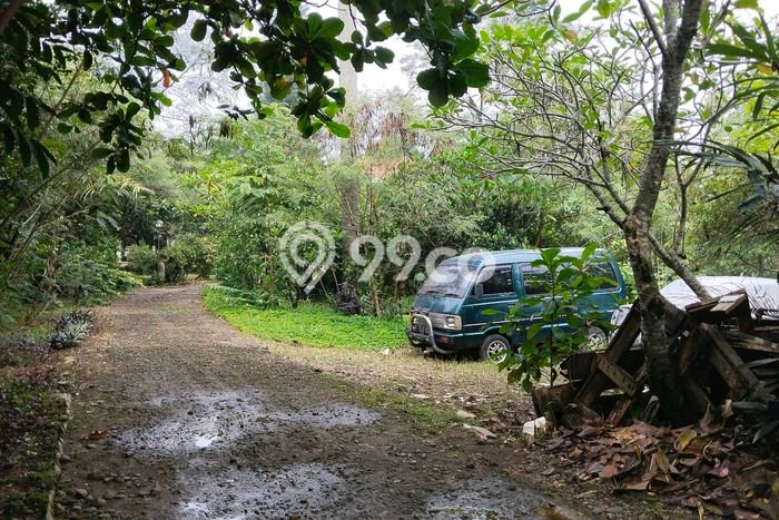 Tanah Kavling Dijual di Subang Kota, Subang dengan Luas Tanah 8800m2 Tanah Kavling Dijual di Subang Kota, Subang dengan Luas Tanah 8800m2