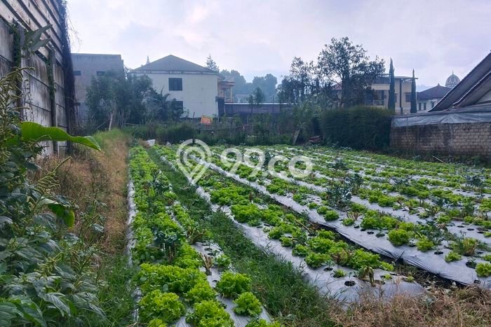 Lahan Dijual Lokasi Parongpong, Bandung Barat dengan Luas Tanah 1760m2 dan Status SHM Lahan Dijual Lokasi Parongpong, Bandung Barat dengan Luas Tanah 1760m2 dan Status SHM