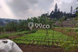Lahan Dijual Lokasi Strategis di Bandung dengan Luas 130000m2 Lahan Dijual Lokasi Strategis di Bandung dengan Luas 130000m2