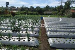 Dijual Tanah Lokasi Cisarua, Bandung Seluas 26000m2 Dijual Tanah Lokasi Cisarua, Bandung Seluas 26000m2