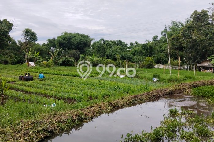 Untuk Dijual Tanah 9000m2 di Setiabudi, Bandung Untuk Dijual Tanah 9000m2 di Setiabudi, Bandung