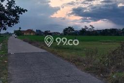 Tanah Dijual Lokasi Rancaekek Bandung - Tanah Dijual Lokasi Rancaekek Bandung -