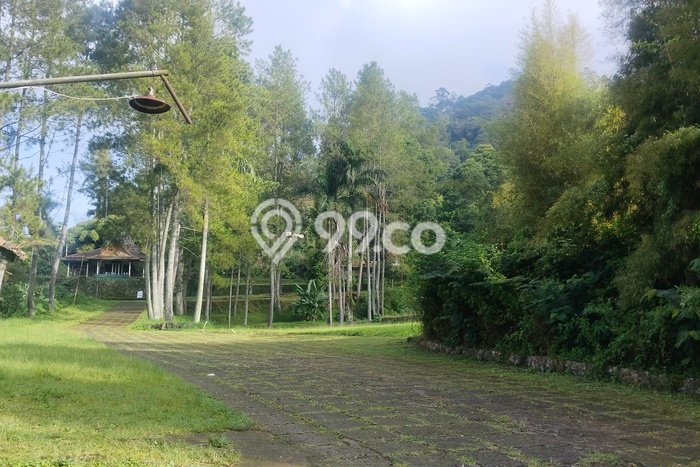 Tanah Dijual Lokasi Lembang, Bandung Barat Luas 140000m2 Legalitas Aman Tanah Dijual Lokasi Lembang, Bandung Barat Luas 140000m2 Legalitas Aman