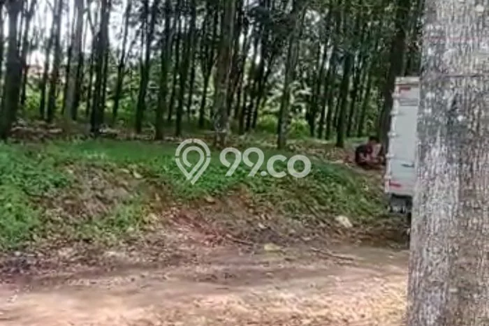 Jarang Ada! Tanah di Campaka Punya Luas 530000m2 SHM Jarang Ada! Tanah di Campaka Punya Luas 530000m2 SHM