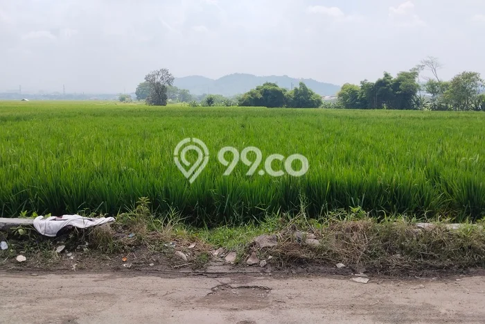 Kavling Tanah Dijual di Batujajar Bandung Barat Spesifikasi 80000m2 Kavling Tanah Dijual di Batujajar Bandung Barat Spesifikasi 80000m2
