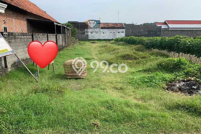 Tanah Siap Bangun Dijual di Kediri Punya Luas 4e+06m2 Tanah Siap Bangun Dijual di Kediri Punya Luas 4e+06m2