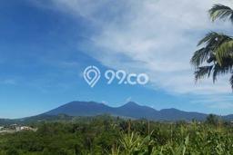 Dijual Tanah Lokasi Cipanas, Bogor Seluas 5058m2 Dijual Tanah Lokasi Cipanas, Bogor Seluas 5058m2