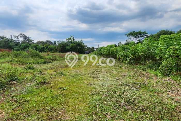 Tanah Dijual Lokasi Campaka, Purwakarta Luas 10970m2 Legalitas Aman Tanah Dijual Lokasi Campaka, Purwakarta Luas 10970m2 Legalitas Aman