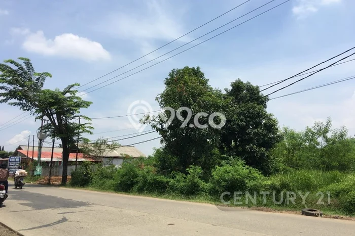 Untuk Dijual Tanah 4500m2 di Serang Cibarusah, Bekasi Untuk Dijual Tanah 4500m2 di Serang Cibarusah, Bekasi