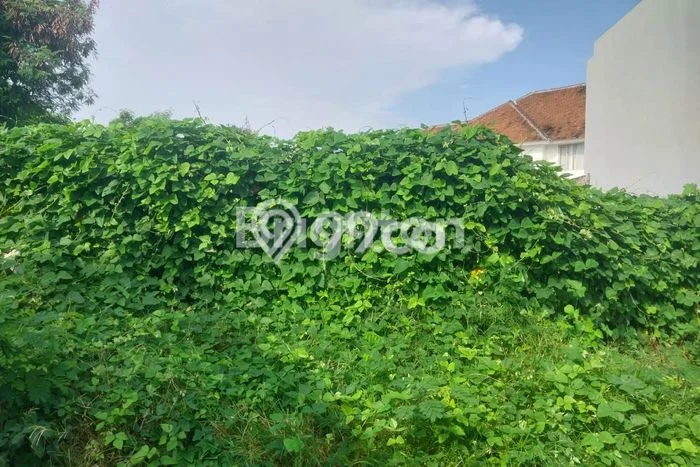 Untuk Dijual Tanah di Badung, Luas 300m2 SHM Untuk Dijual Tanah di Badung, Luas 300m2 SHM