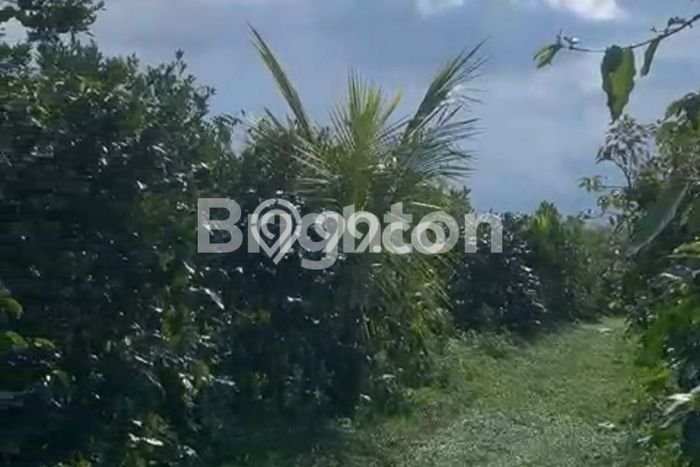 Tanah Kavling di Bayunggede Dijual dengan Luas 6000m2 Tanah Kavling di Bayunggede Dijual dengan Luas 6000m2