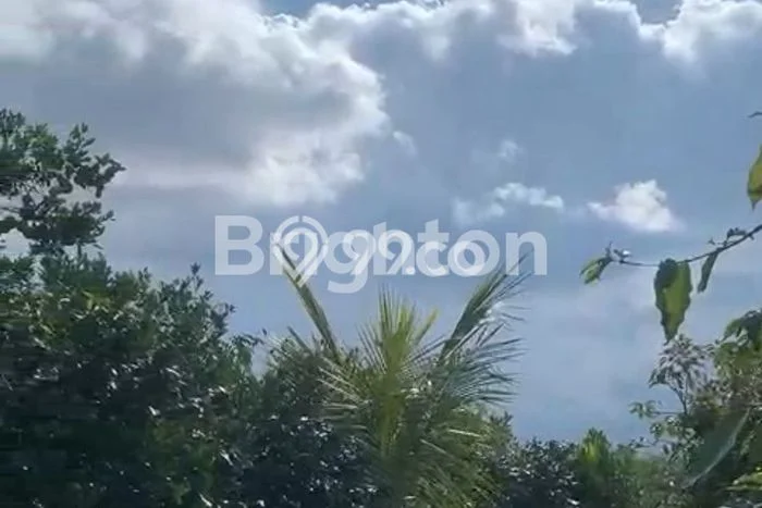 Tanah Kavling di Bayunggede Dijual dengan Luas 6000m2 Tanah Kavling di Bayunggede Dijual dengan Luas 6000m2